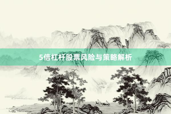 5倍杠杆股票风险与策略解析